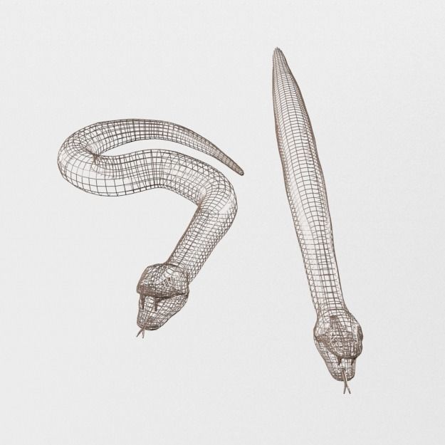 Python Snake Low-poly 3D model_6