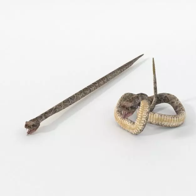 Rattlesnake knife and snake Low-poly 3D model