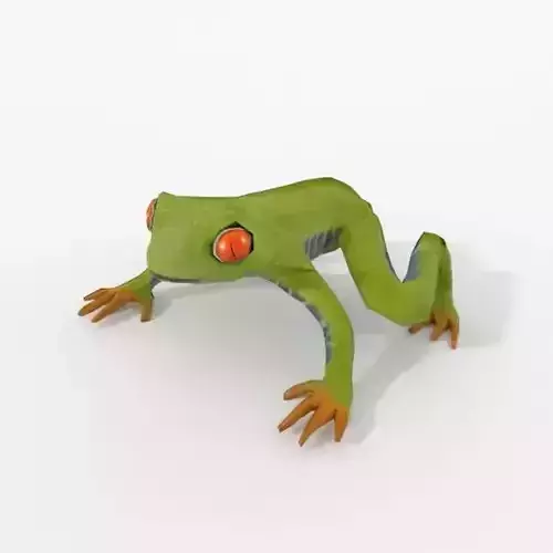 Green frog with red eyes
