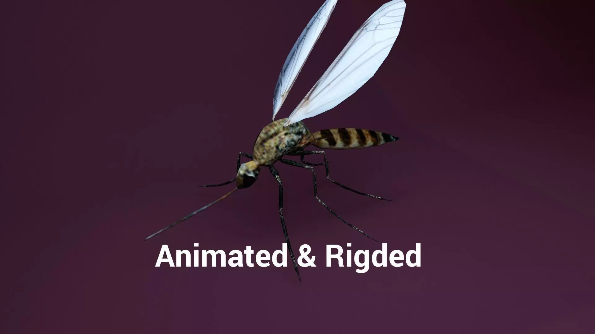 Mosquito animated and rigged Low-poly 3D model_0