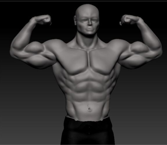 bodybuilder male Free 3D model