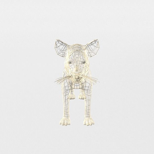 Hyena lion Low-poly 3D model_6