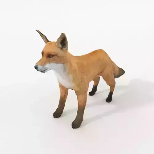 Red Fox Low-poly 3D model