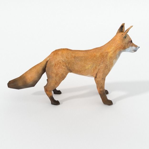Red Fox Low-poly 3D model_3