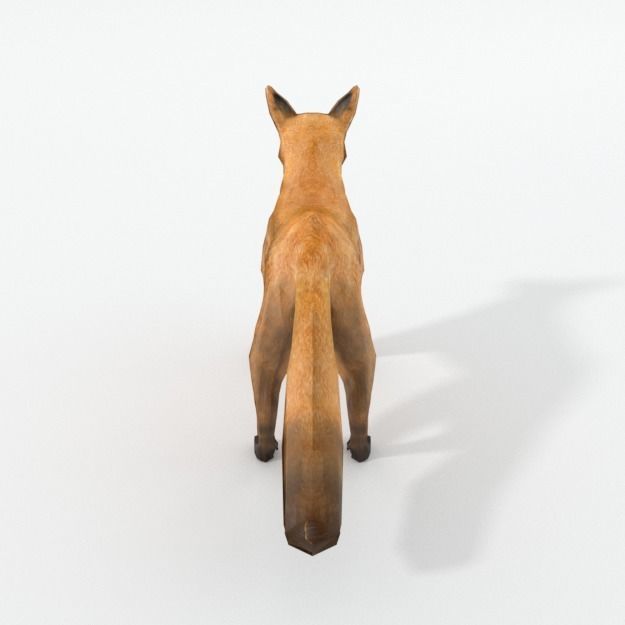 Red Fox Low-poly 3D model_1