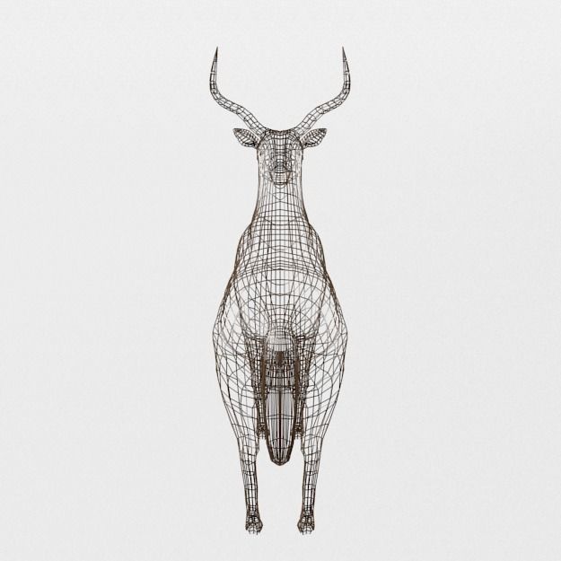 Impala antelope Low-poly 3D model_5
