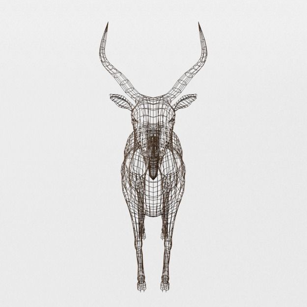 Impala antelope Low-poly 3D model_6