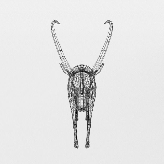 Sable Antelope Low-poly 3D model_6