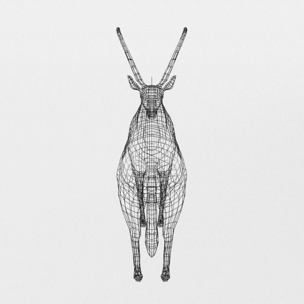 Sable Antelope Low-poly 3D model_5