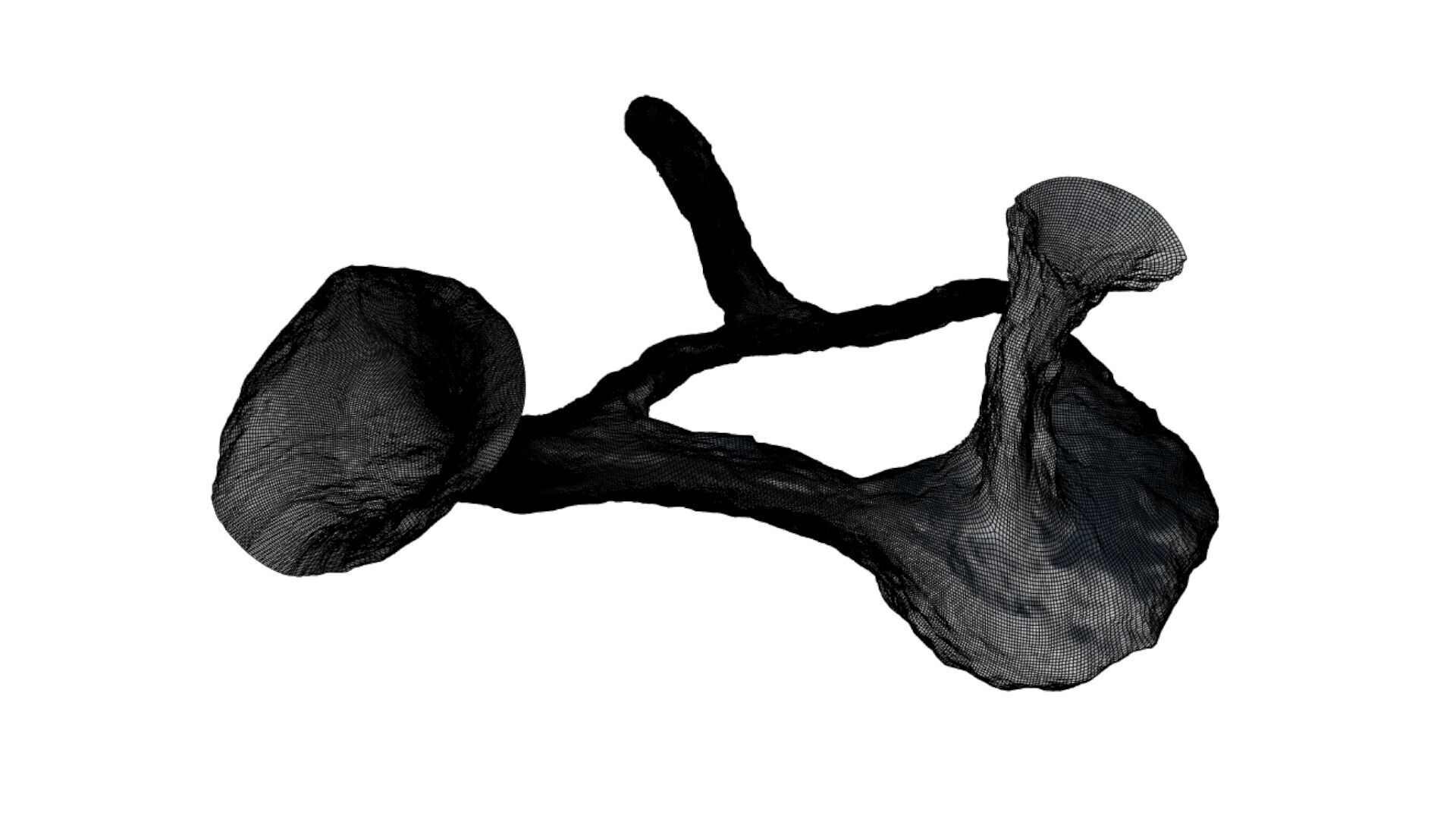 Realistic cave model 1  Low-poly 3D model_13