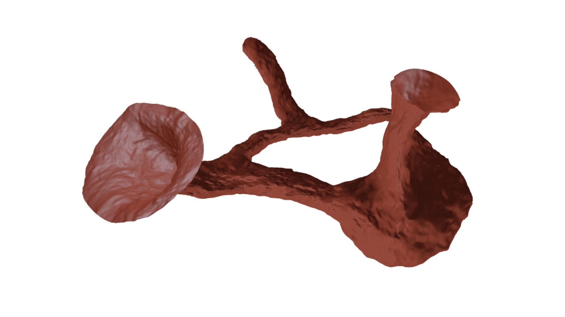 Realistic cave model 1  Low-poly 3D model_12