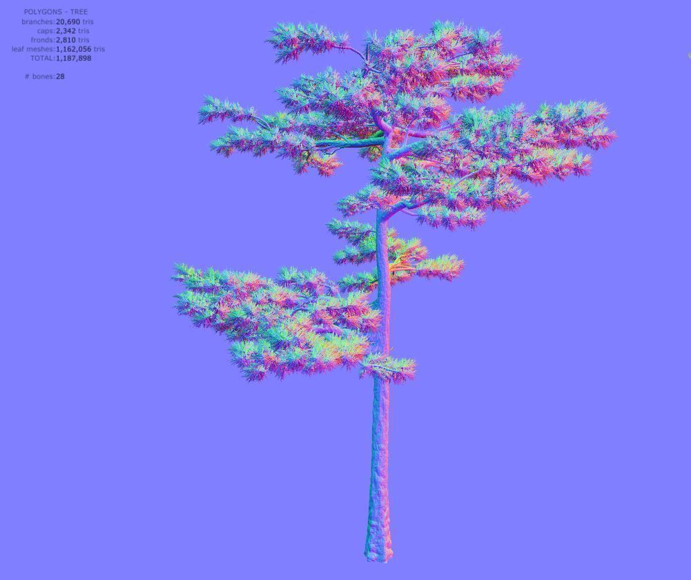 Huangshan Pine 3D model_14