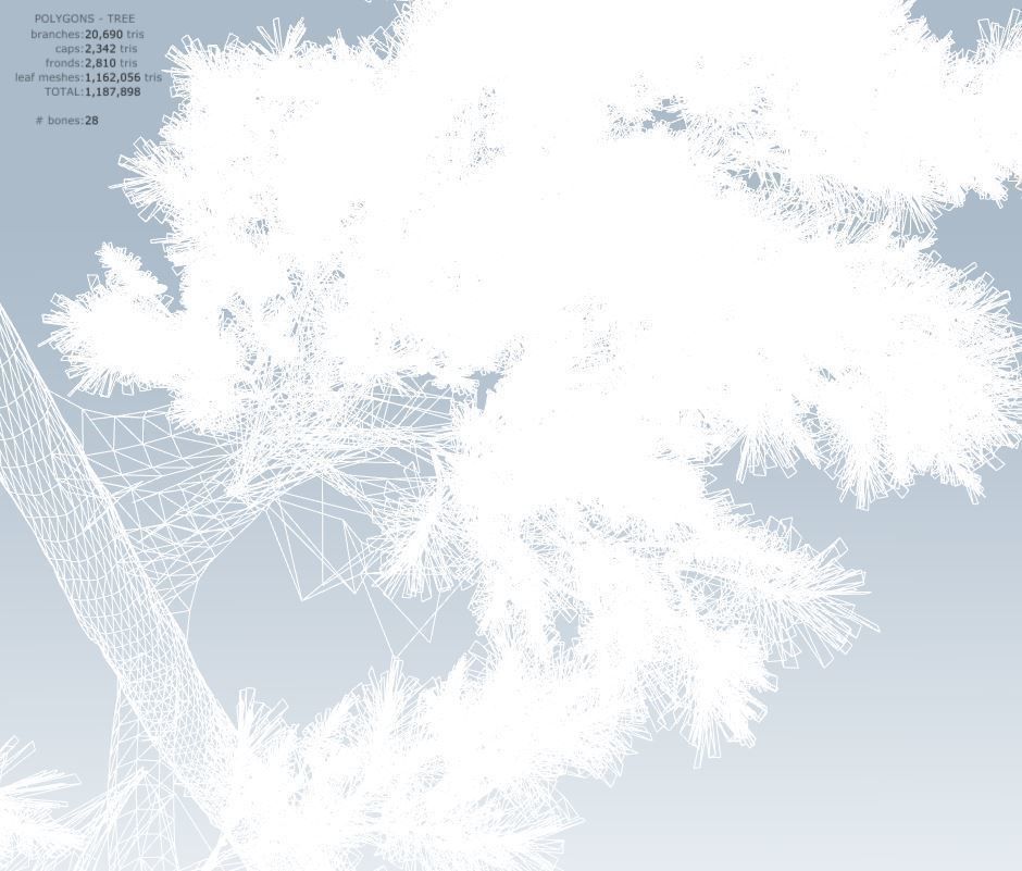 Huangshan Pine 3D model_13