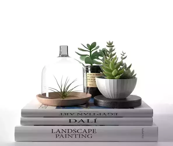Books with Succulents and Air Plant 3D model