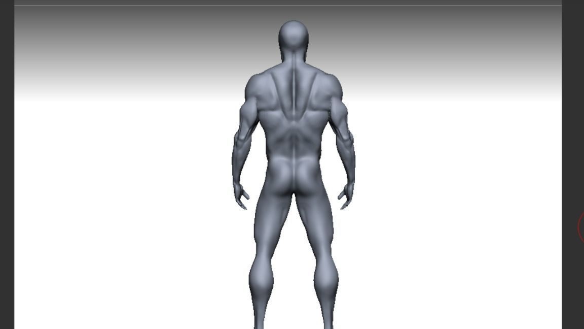 male anatomy modeler Low-poly 3D model_3