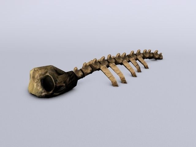 Ruined skeleton ribs Low-poly 3D model_1