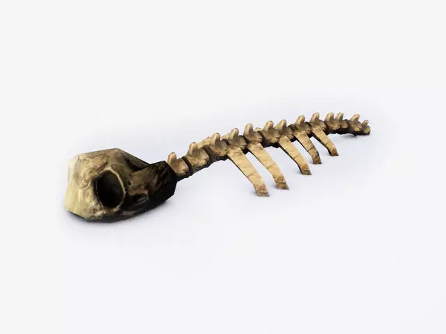 Ruined skeleton ribs Low-poly 3D model_0