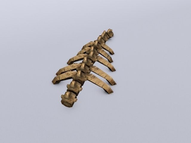 Ruined skeleton ribs Low-poly 3D model_6