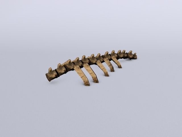 Ruined skeleton ribs Low-poly 3D model_2