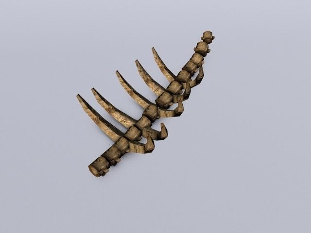 Ruined skeleton ribs Low-poly 3D model_3