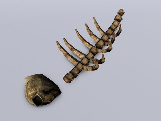 Ruined skeleton ribs Low-poly 3D model_4