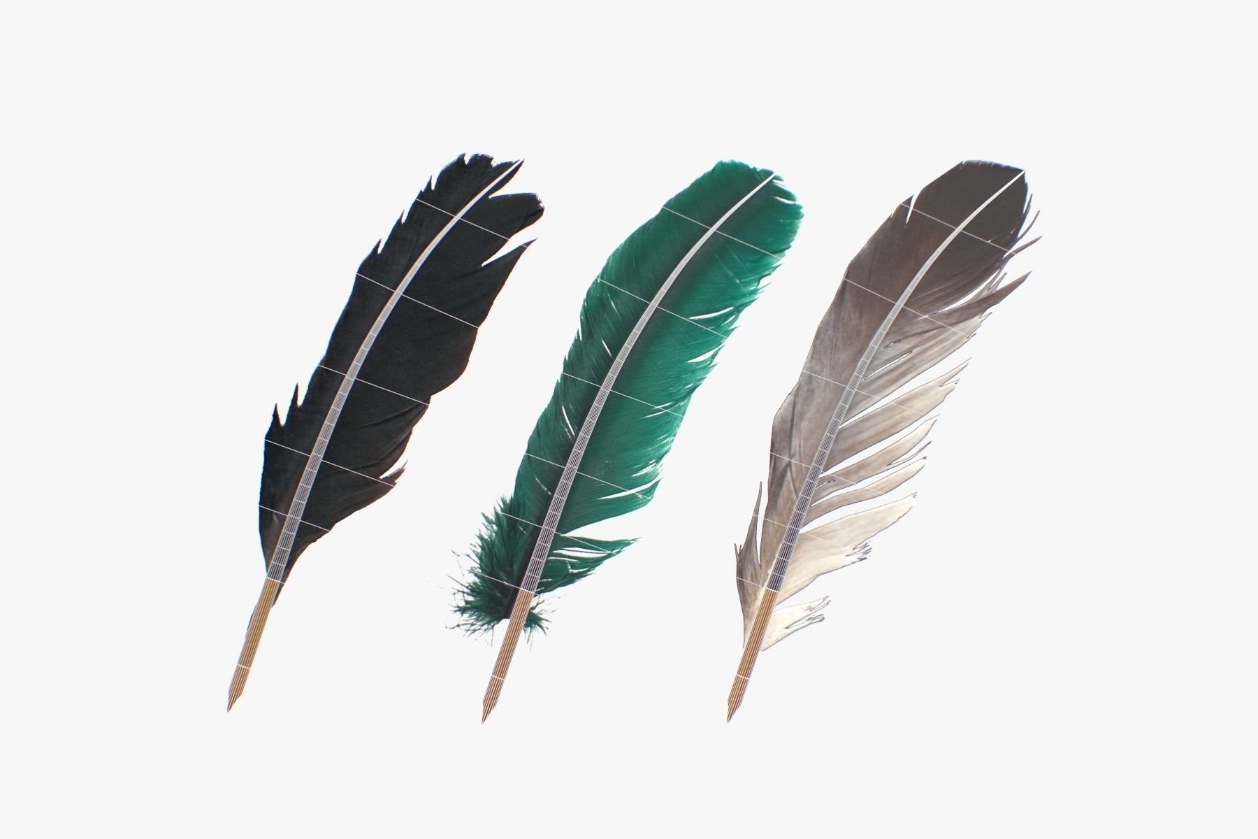 Feathers Pens pack Low-poly 3D model_5