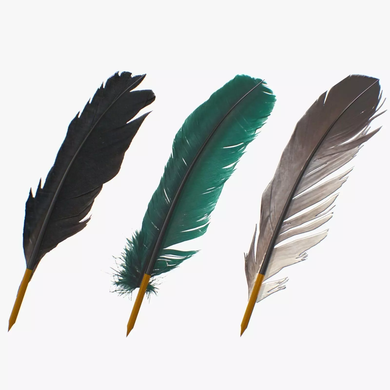 Feathers Pens pack Low-poly 3D model_0