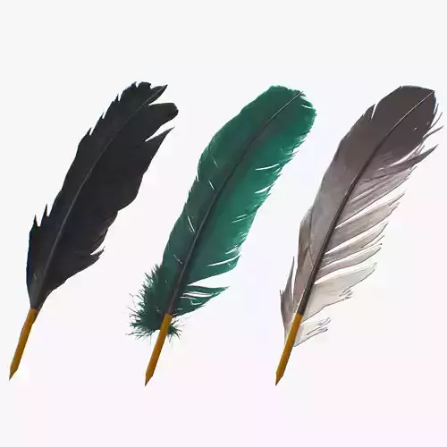 Feathers Pens pack Low-poly 3D model