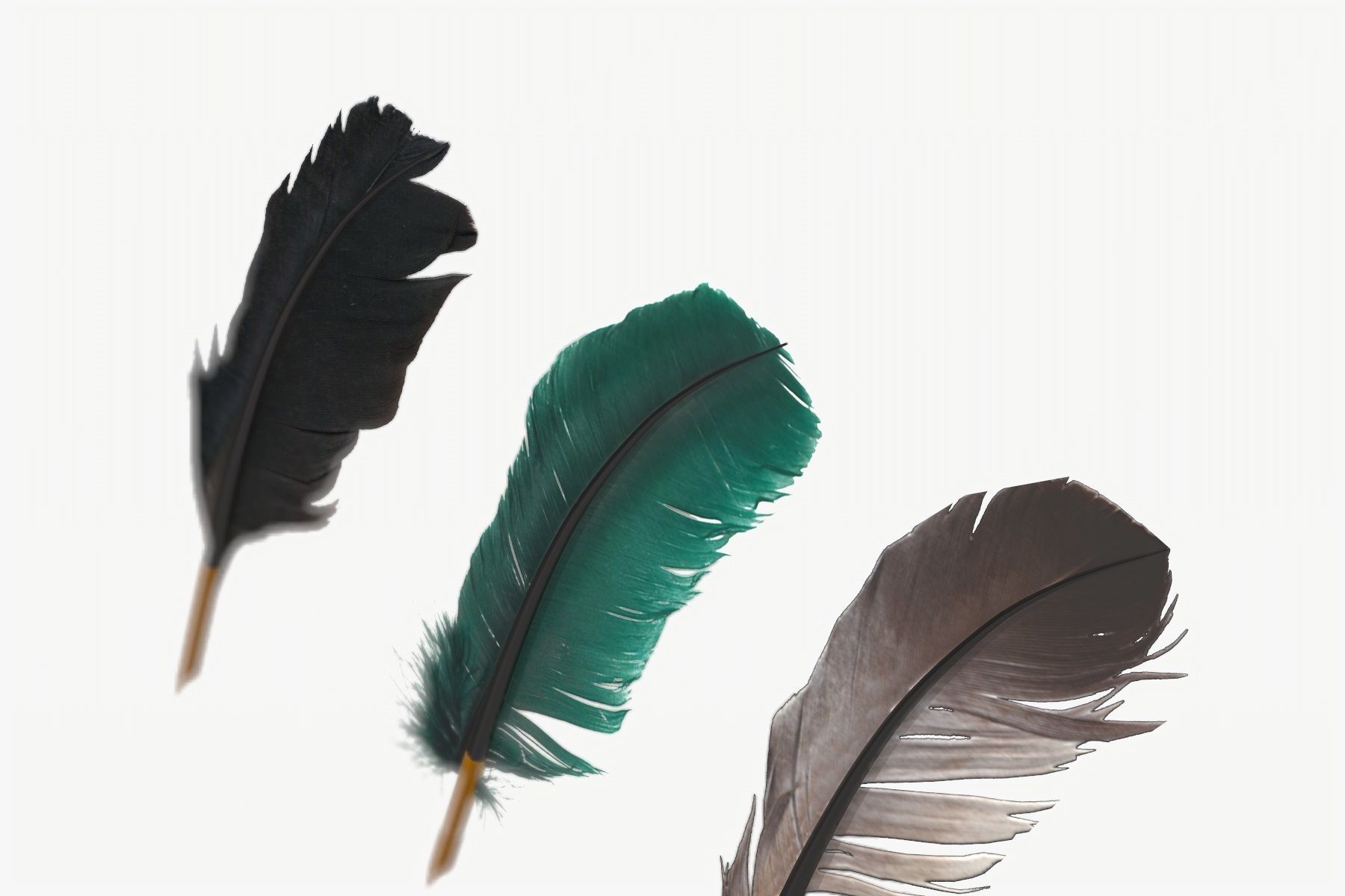 Feathers Pens pack Low-poly 3D model_2