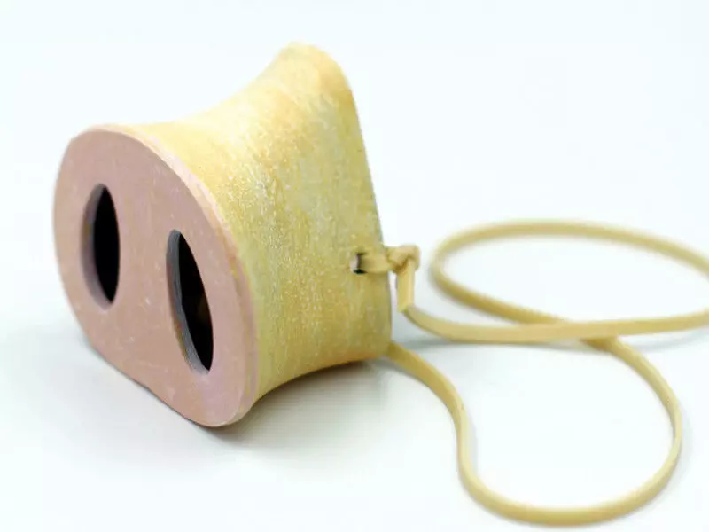 Pig nose Free 3D print model