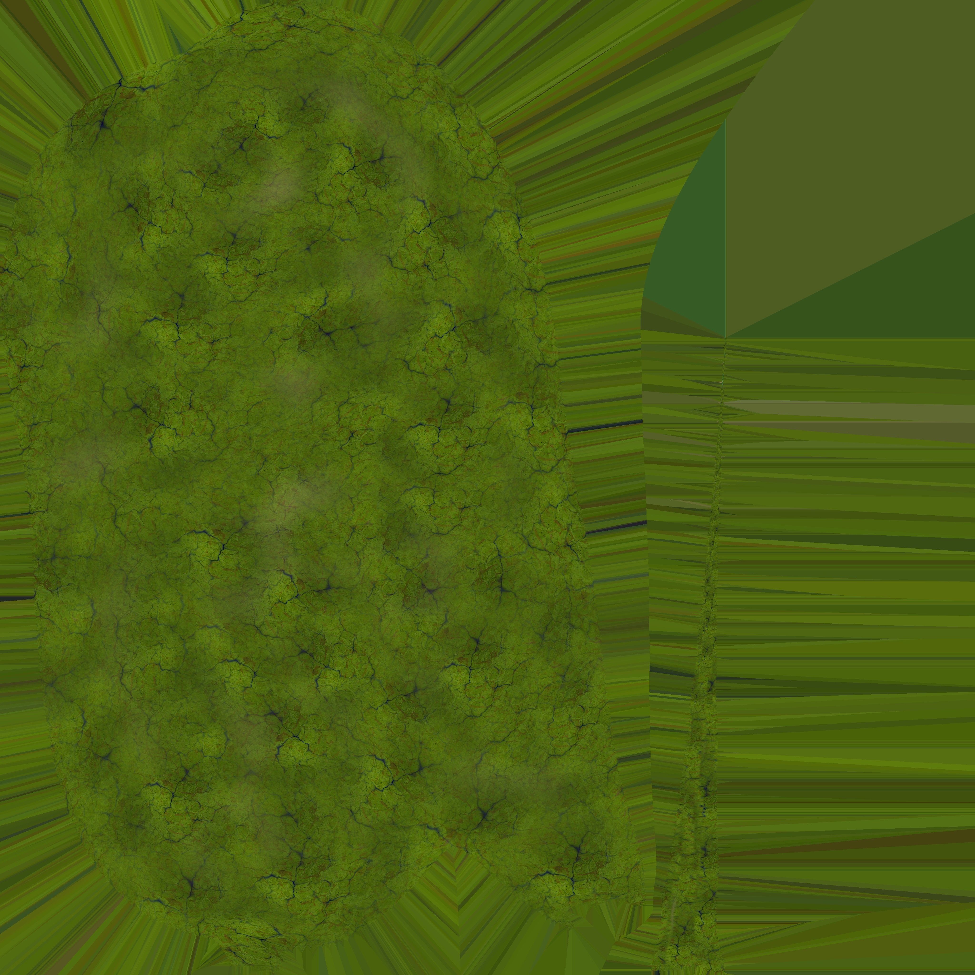 Vibrio cholerae 3D model_27