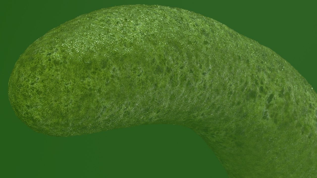 Vibrio cholerae 3D model_11