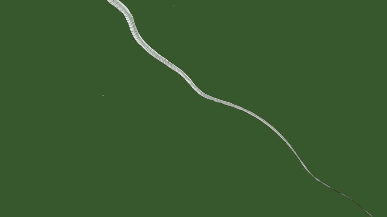 Vibrio cholerae 3D model_17