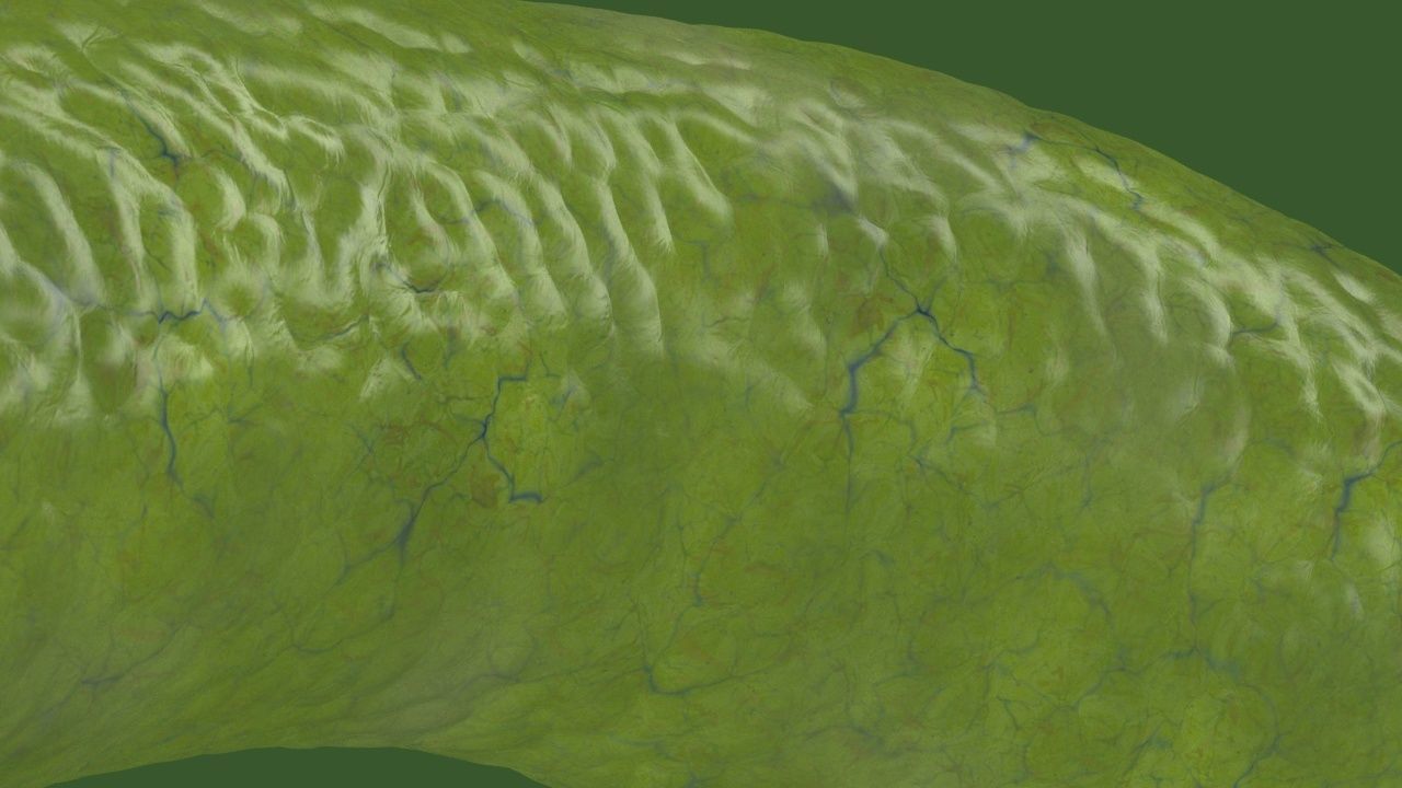 Vibrio cholerae 3D model_19