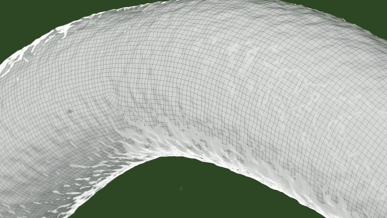 Vibrio cholerae 3D model_8