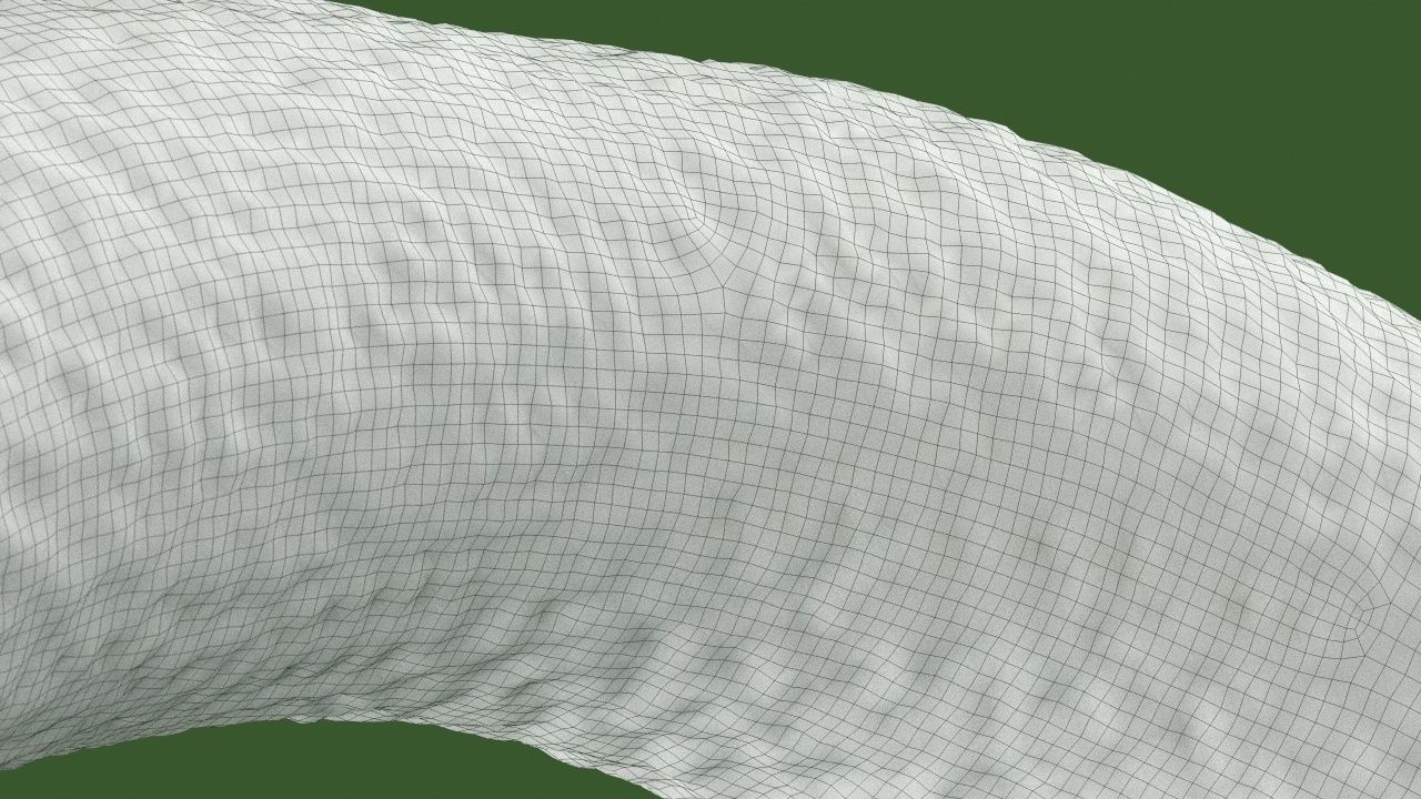 Vibrio cholerae 3D model_18