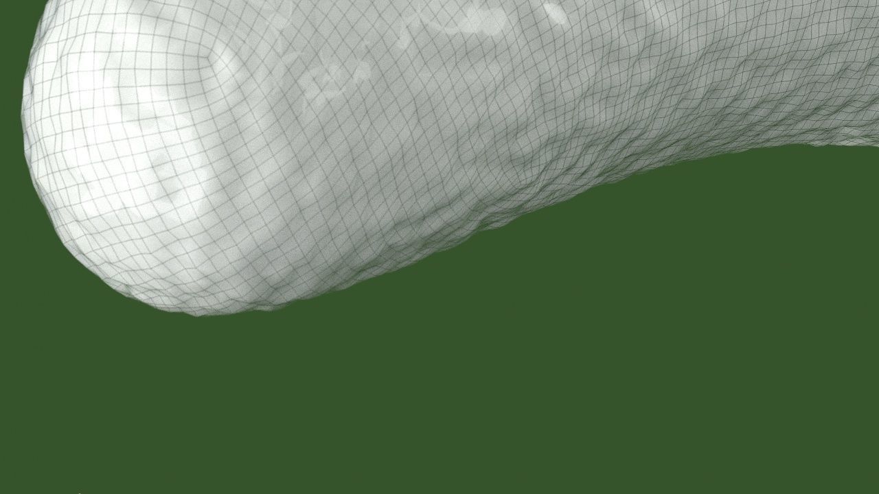 Vibrio cholerae 3D model_13