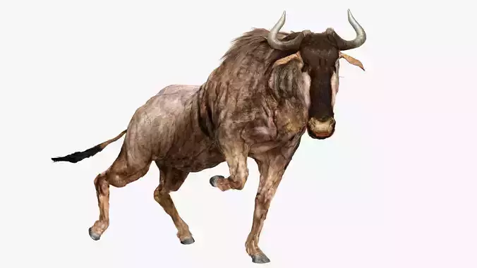 Wildebeest - with LOD and Animation