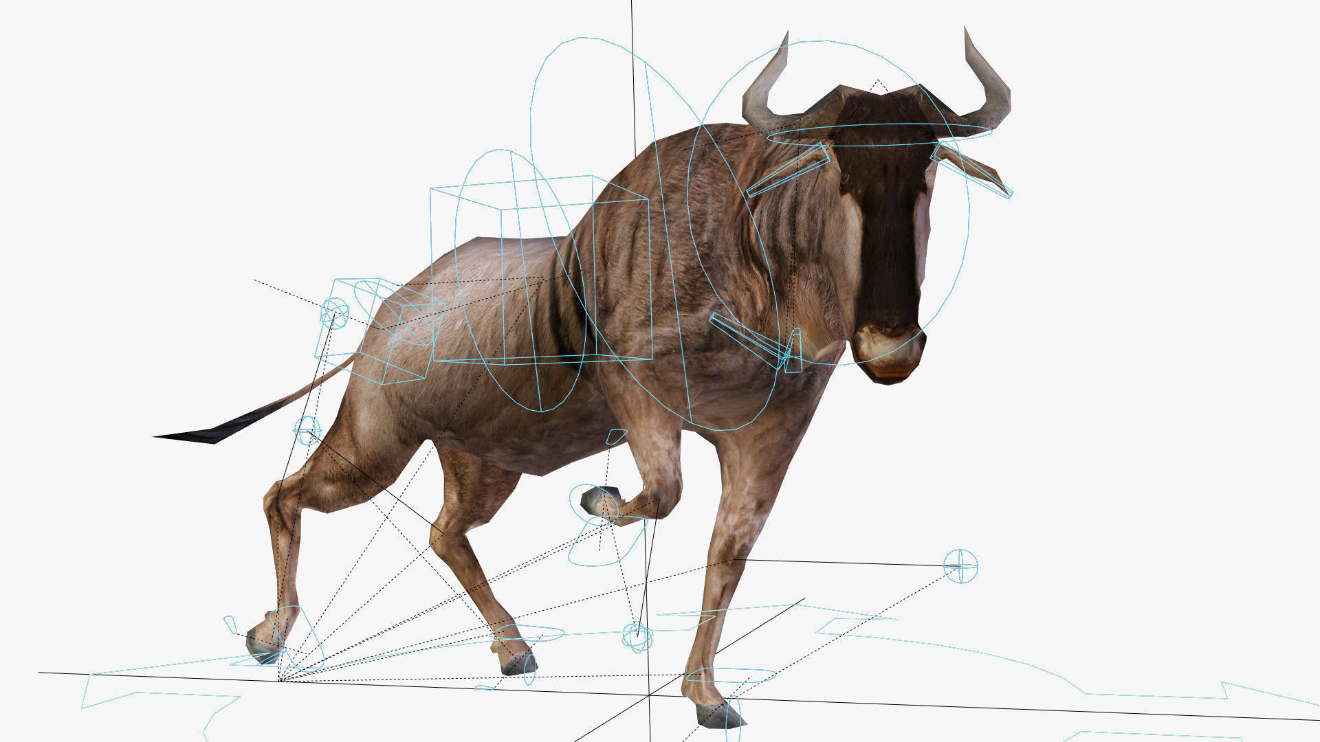 Wildebeest - with LOD and Animation Low-poly 3D model_18