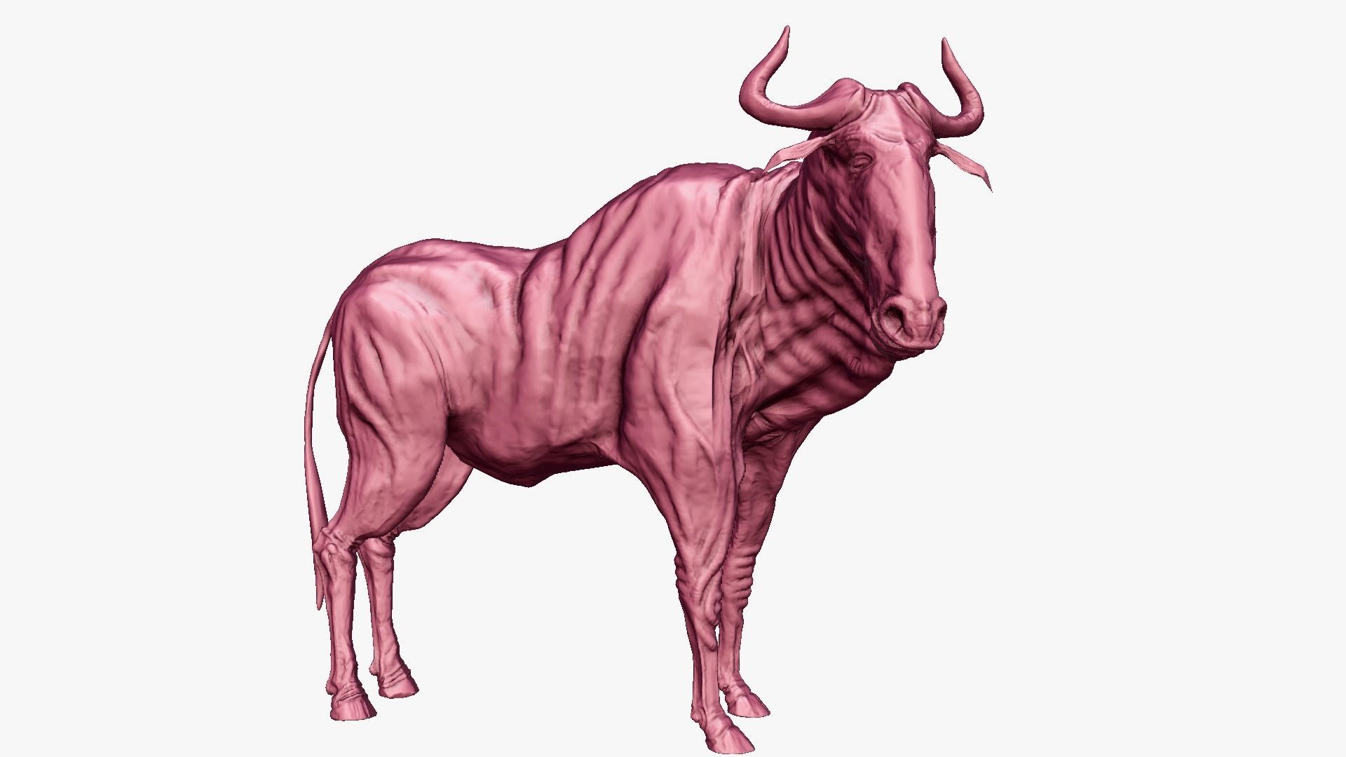 Wildebeest - with LOD and Animation Low-poly 3D model_20