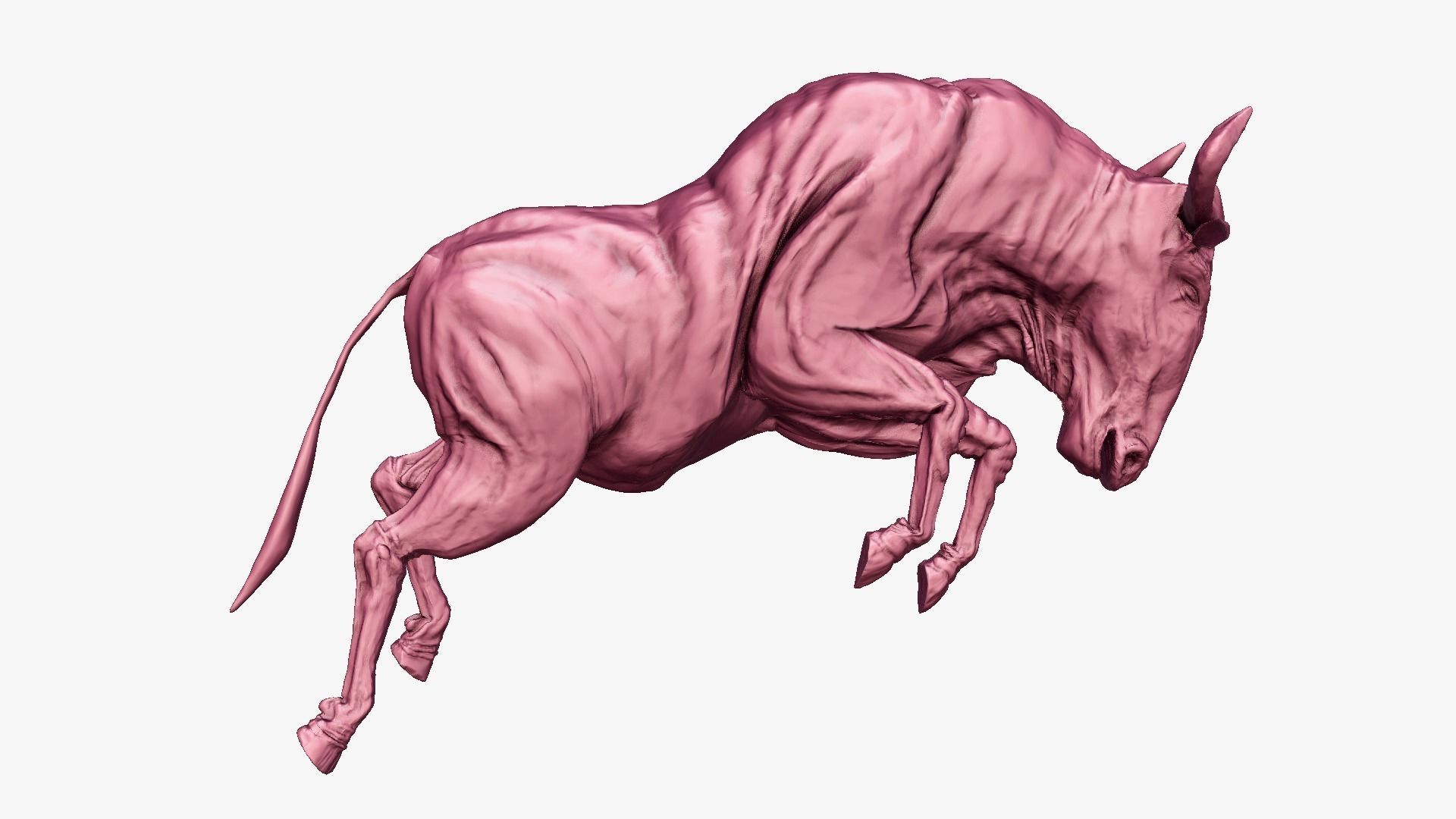 Wildebeest - with LOD and Animation Low-poly 3D model_19