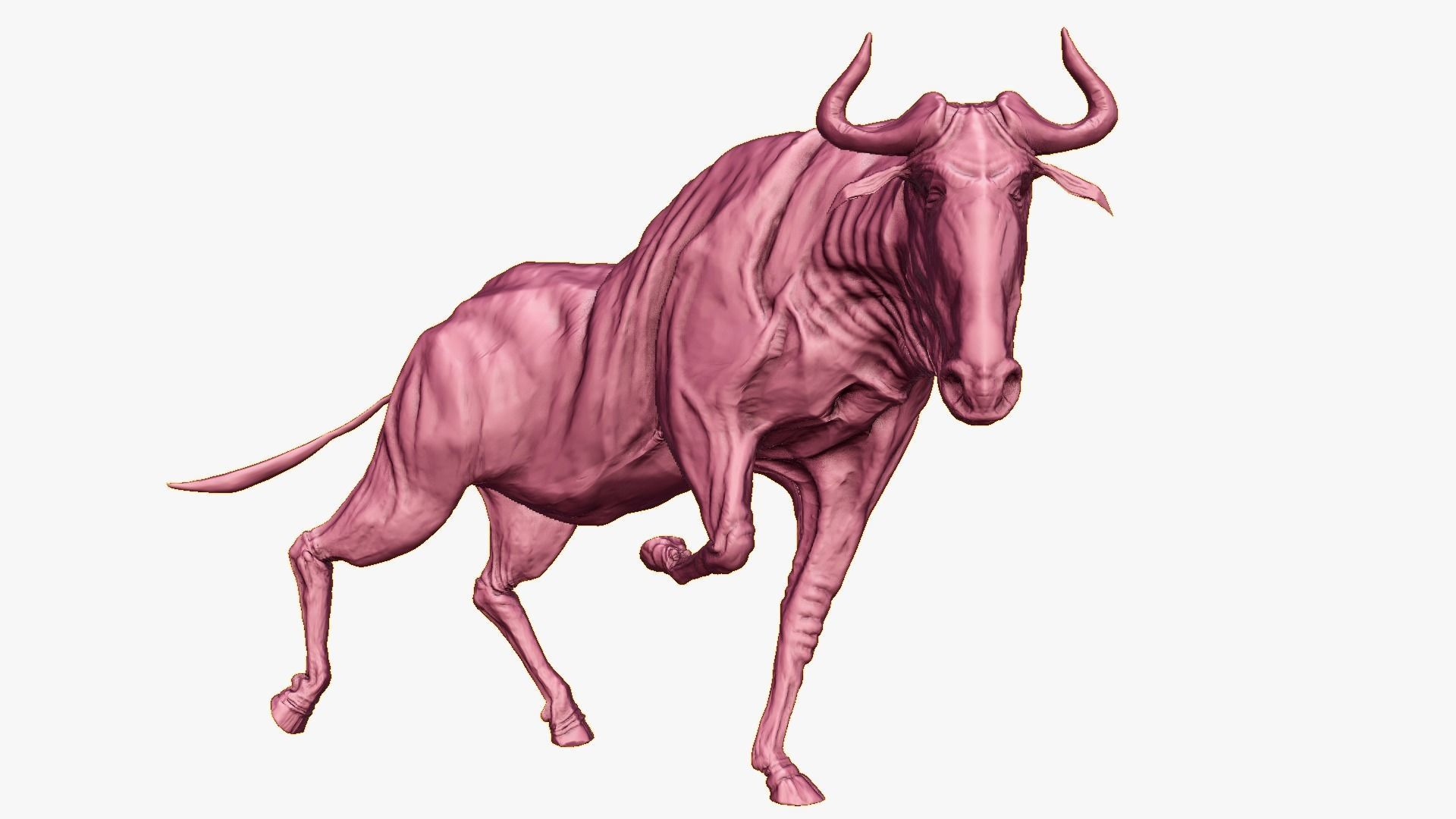 Wildebeest - with LOD and Animation Low-poly 3D model_22