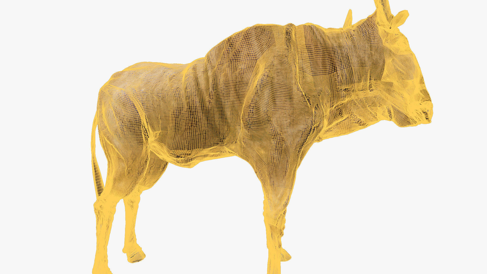 Wildebeest - with LOD and Animation Low-poly 3D model_17