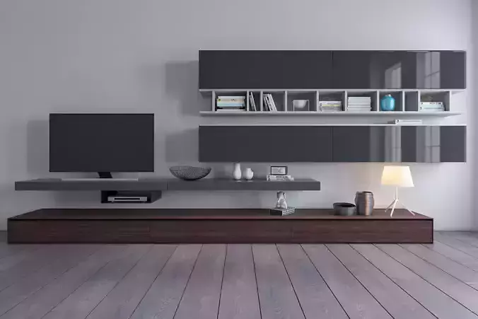 LIVE contemporary  storage wall