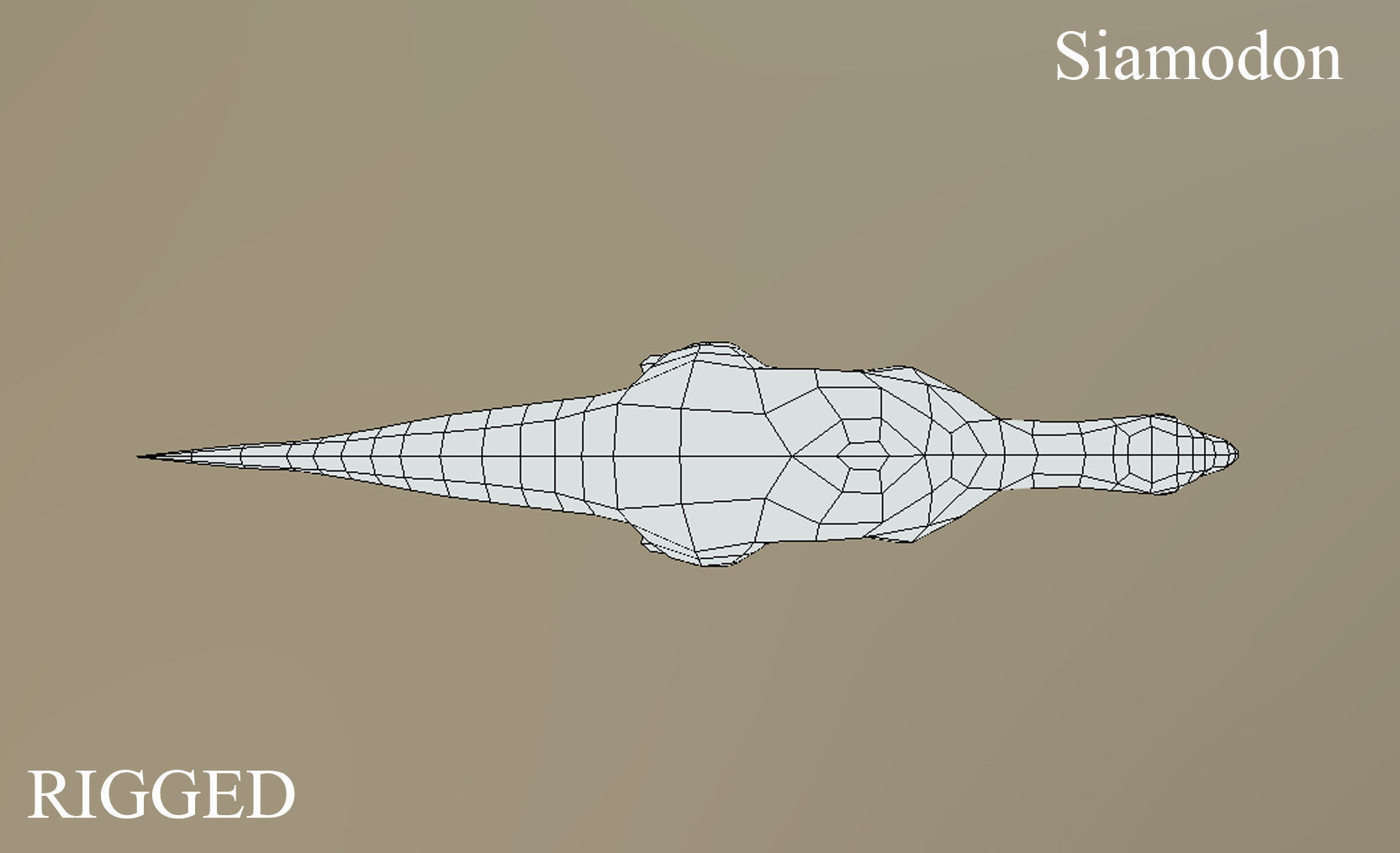 3D model Thai Dinosaur Siamodon VR / AR / lowpoly rigged CGTrader