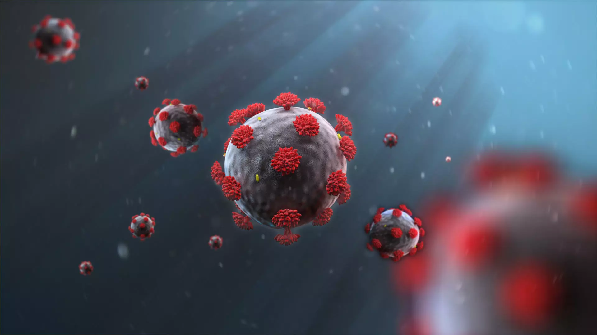 Covid-19 3d model corona virus 3D model_0