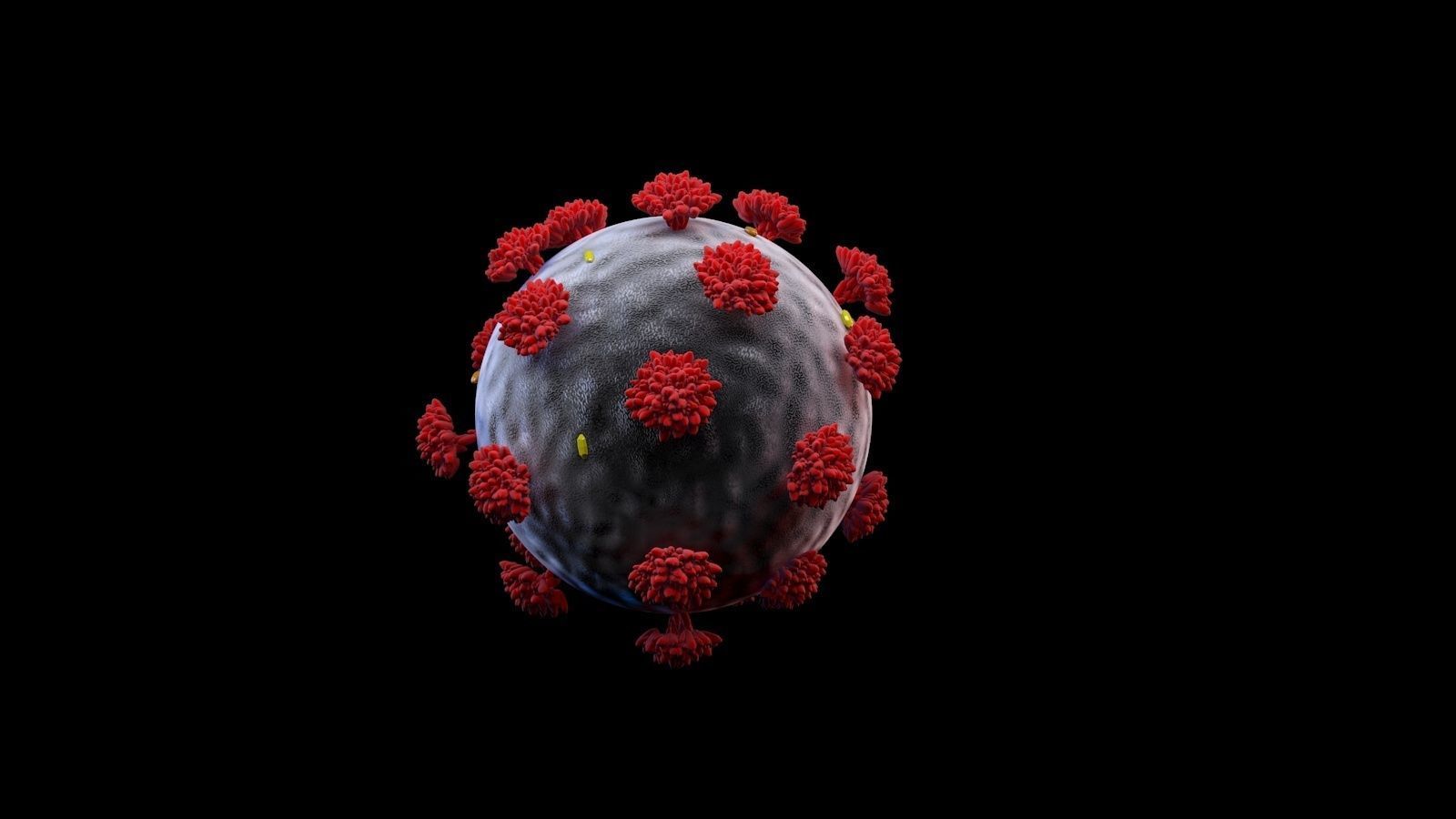 Covid-19 3d model corona virus 3D model_1