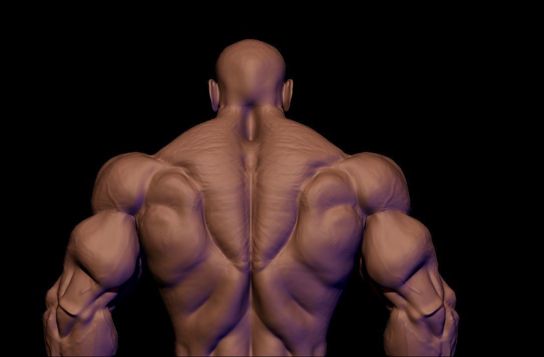 body builder  Low-poly 3D model_18
