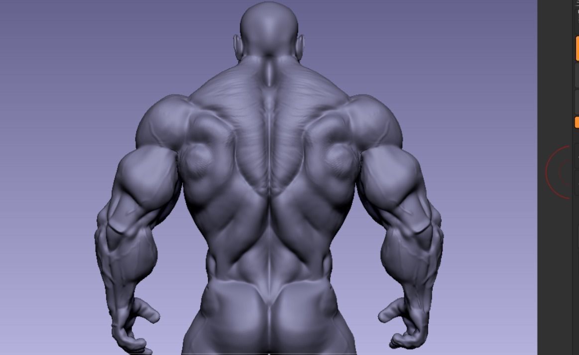 body builder  Low-poly 3D model_5
