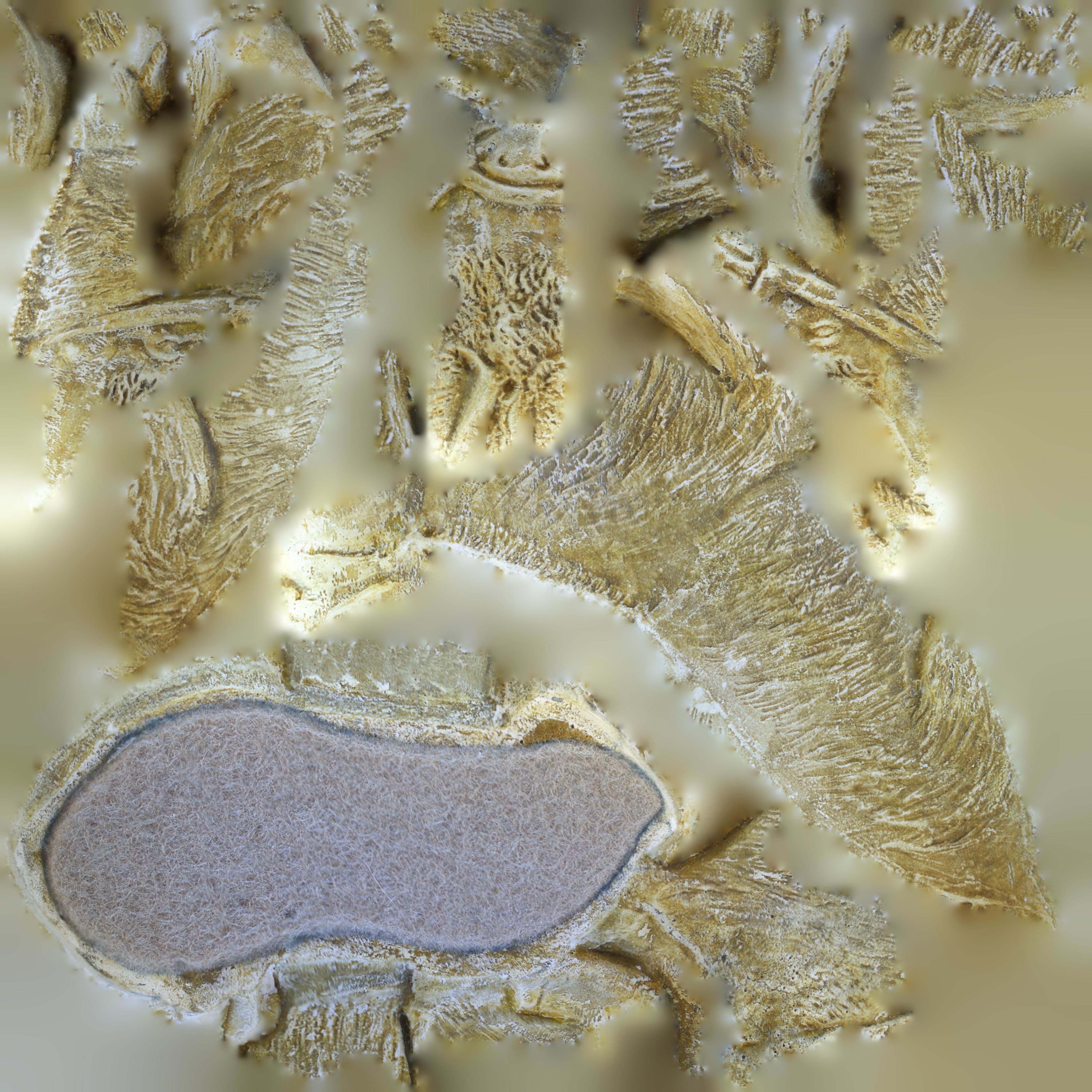 Christmas  nativity figurines Set 3D Printable 3D Scan 3D print model_18